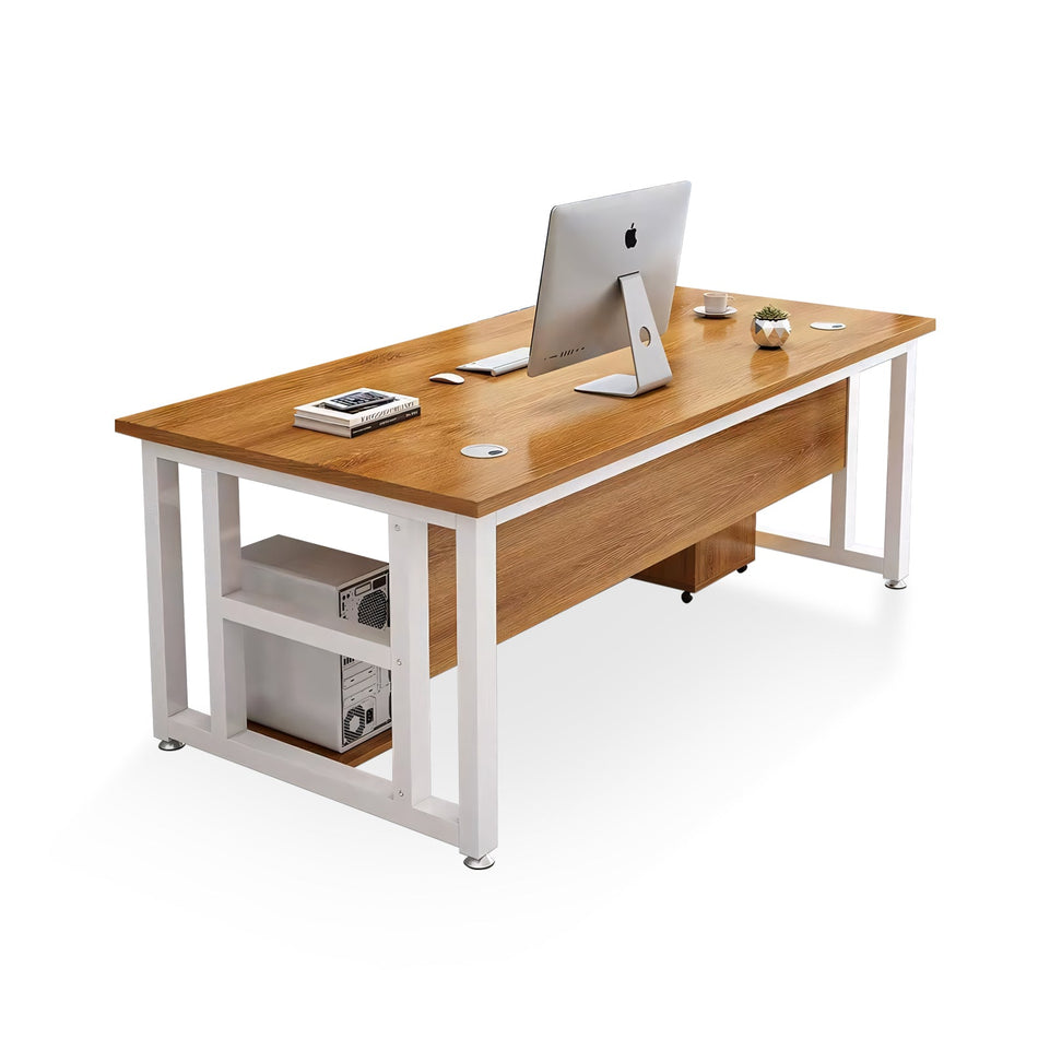 Modern Style Executive Office Desk LBZ-1045