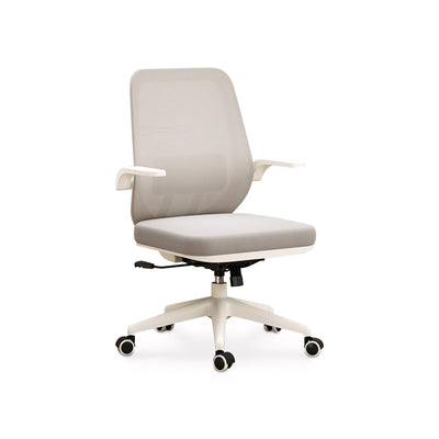 Classic Mesh Office Ergonomic Chair for Superior Support BGY-1049